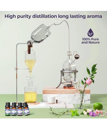Janolia Essential Oils Set - 20 Pure Fragrance Oils for Diffusers | Natural Aroma Relaxation & Perfect Gift for Family & Friends - Buy Online on GoSupps.com