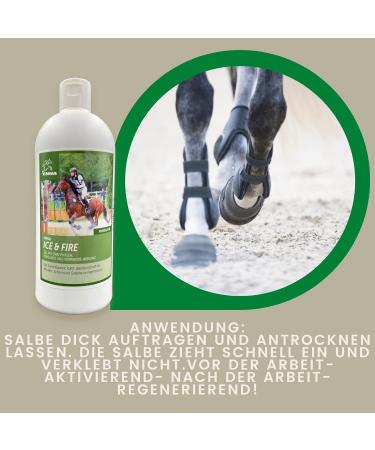 2 in 1 Cooling + Warm Horse Balm 2 x 500 ml - Cooling Gel with Extra Strength Arnica Ointment I Tendons Ligaments I Refreshing Ointment and Heating Ointment I Ointment for - Buy Online on GoSupps.com