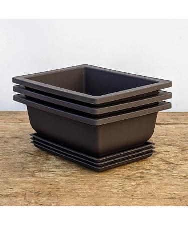 Bonsai Training Pots Humidity Trays 6 Inch - Durable Shatter-Proof Poly-Resin Set of 3 | Large Planters with Built-In Mesh | 3-Pack - Buy Online on GoSupps.com