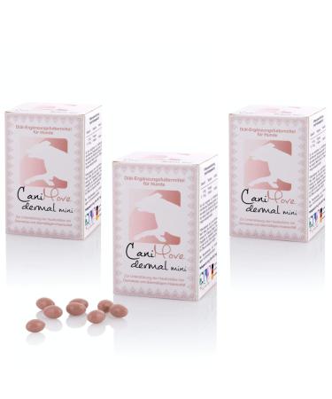 Canimove Dreier-Set Dermal Mini (300 capsules) supplementary feed to support skin function hair loss scales and blunt fur