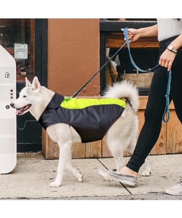 VIZPET Waterproof Reflective Dog Raincoat | Lightweight High Visibility Jacket for Small, Medium, Large Dogs - Green-L - Buy Online on GoSupps.com