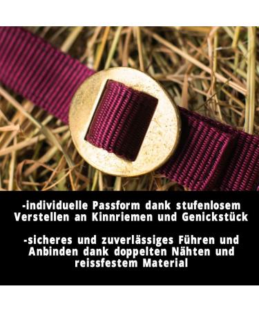 Premium Adjustable Horse Halter for Warmbloods Thoroughbreds & Coldbloods - Tearproof Safe & Stylish in Bordeaux for Ponies - Buy Online on GoSupps.com