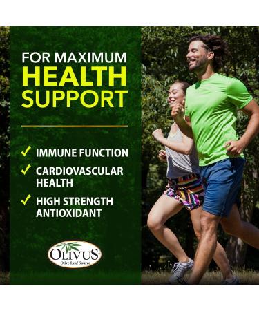 Olive Leaf Capsules - 550 mg Vegetable Capsules - Pure Organic Olive Leaf Powder with No Fillers - Immune Support Antioxidant Supplement (1000) 1 Count (Pack of 1000) - Buy Online on GoSupps.com