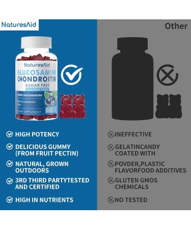 Glucosamine Chondroitin Gummies with MSM & Elderberry - Extra Strength Joint Support & Immune Booster for Adults (2 Pack 60 Count Blueberry - Buy Online on GoSupps.com