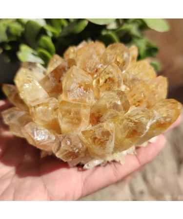 Crystals and Stones Natural Raw Citrine Quartz Crystal Cluster Yellow Irregular Specimen Home Decoration Aquarium Ornaments Crystal Cluster (Color : Yellow Size : 300-400g) 300-400g Yellow