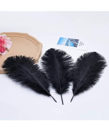 24pcs Natural Black Ostrich Feathers 10-12inch for Wedding & Home Decor - Buy Online on GoSupps.com