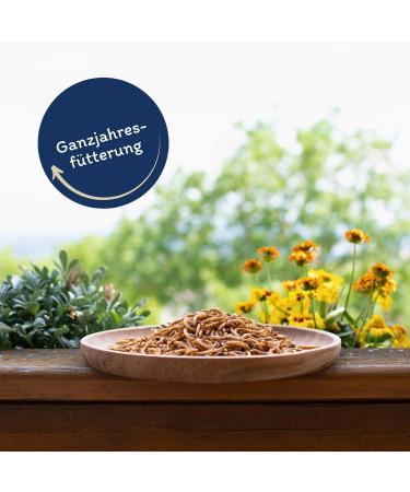 Lyra PET 10 kg Mealworms | Ideal Protein-Rich Food for Rodents | Gently Dried Vitamin & Mineral-Rich Treats for Hamsters Rats & Racing Mice - Buy Online on GoSupps.com