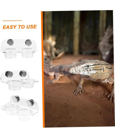 Toddmomy 1 Set Magnetic Water Feeder Gecko Feeding Ledge Spider Water Feeder Gecko Food Cups Magnetic Reptile Feeding Cup Water Basin for Spiders Snake Feeding Water Bowl Reptile Bowls - Buy Online on GoSupps.com