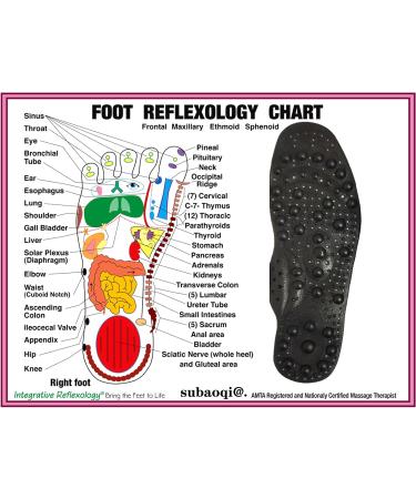 Metatarsalgia Arch Support Insoles for Plantar Fasciitis - Acupressure & Magnetic Therapy Inserts for Men & Women (S 25cm 35-40/5-8 - Buy Online on GoSupps.com
