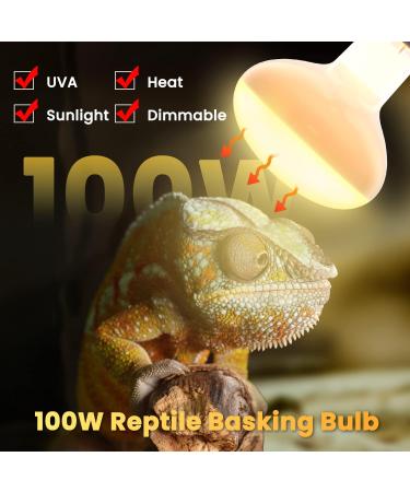 Luxvista 2Pack 100W Reptile Heat Lamp Bulb E27 Basking Bulb Warm White Light Heat Bulb Dimmable Heat Lamp for Puppies/Reptiles/Lizards/Tortoise/Chicks/Amphibian/Bearded Dragon 2700k Warm White 2pack E27 Heat Bulb - Buy Online on GoSupps.com