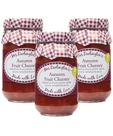 Mrs Darlington's Autumn Fruit Chutney - 312g - Pack of 3 - Buy Online on GoSupps.com