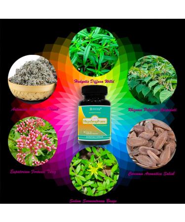 Heshoutang HepaStopForte|Market Proven Herbal Liver System Cleanser|60 Veg Capsules - Buy Online on GoSupps.com