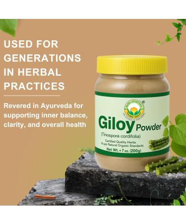 BASIC AYURVEDA Giloy (Guduchi) Powder | 7.05 Oz (200g) | Pure Tinospora Cordifolia Powder for Herbal Tea | Supports Immunity & Energy | No Added Colors & Flavors | Non-GMO Gluten-Free & Vegan - Buy Online on GoSupps.com