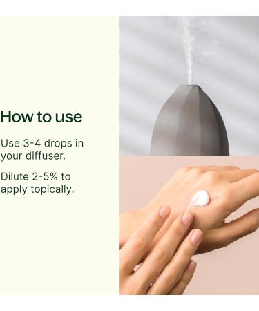 Sweet Orange Essential Oil 100% Pure - Plant Therapy | Natural Aromatherapy Therapeutic Grade 10 mL International Shipping - Buy Online on GoSupps.com