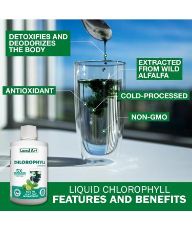 Liquid Chlorophyll Lime Basil 5X Concentrated 500ml Cold Extracted from Non-GMO Alfalfa - Detox - Alkaline - Natural Body Deodorant Antioxidant - Made in Canada - Buy Online on GoSupps.com