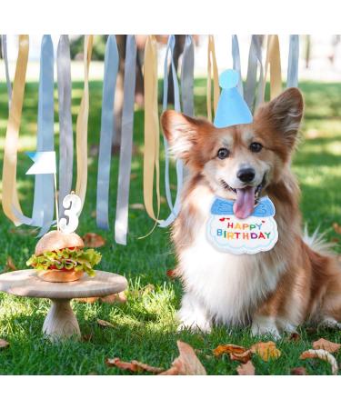 Wisebom 2-Piece Dog Birthday Bibs & Cat Birthday Decorations - Happy Birthday Pet Costumes & Accessories (Pink) - Buy Online on GoSupps.com