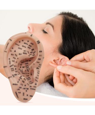 Peosaard Ear Seed Acupuncture Kit - Complete Set with Ear Model Stains Tweezers & Guide Book for Effective Ear Acupuncture - Buy Online on GoSupps.com