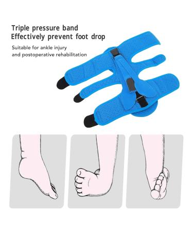 Socobeta Drop Foot Orthotic Brace - Universal Foot Drop Orthosis for Postoperative Recovery (Blue) | Best Shipping Worldwide - Buy Online on GoSupps.com