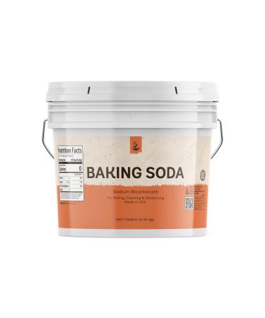 Pure Original Ingredients Baking Soda (1 Gallon) Aluminum Free, Cooking, Baking, Cleaning & More 10 Pound (Pack of 1)