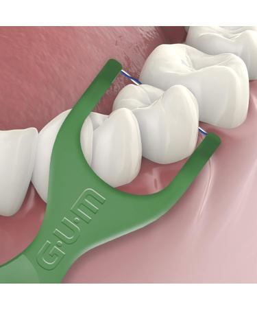 Gum Dual Technique Flosser Picks Complete Whole Mouth Clean Front and Back Reach with Twisted Plaque-Grabbing Floss Fresh Mint Flavour Forest Green 4 Bags X 50ct (200 Flossers) Dual Technique 50 Count (Pack of 4) - Buy Online on GoSupps.com