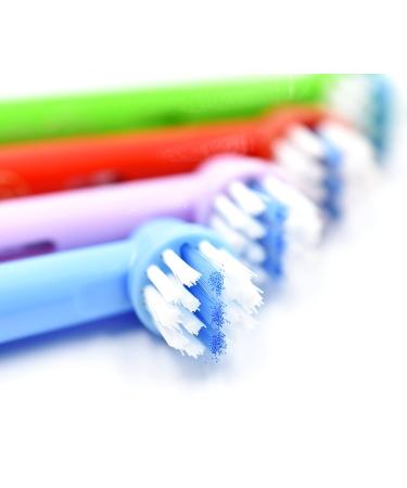 Humble Earth Recyclable Toothbrush Heads for Oral-B Electric (16 Pack) | Eco-Friendly & Sustainable Dental Care - Buy Online on GoSupps.com