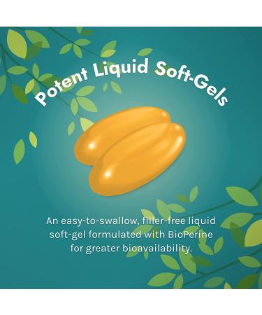 Buy Irwin Naturals Whole-Body Turmeric+ - 60 Liquid Soft-Gels for Joint & Overall Health - Buy Online on GoSupps.com