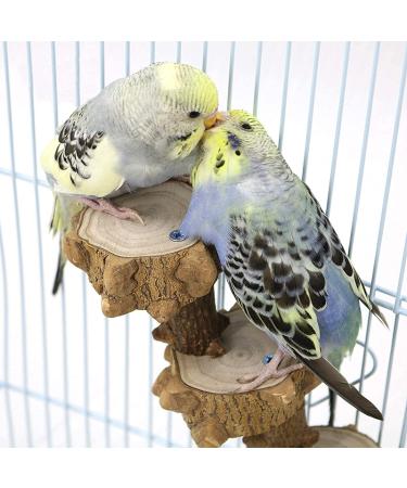 Luonfels Bird Platform Perch Playground for Budgie Parakeet Cage - Natural Wood Play Stand for Large Birds - Birdcage Ladder Climbing Toy - Buy Online on GoSupps.com