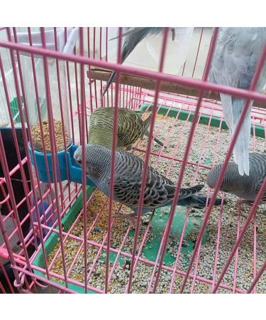 Bird Food Water Dispenser Bird Water Bottle Parrot Automatic Water Feeder Water Drinker Food Feeder Waterer Clip Feeder Cage Accessories for Parrot Budgie Lovebirds Cockatiel Parakeet Cockatoo - Buy Online on GoSupps.com