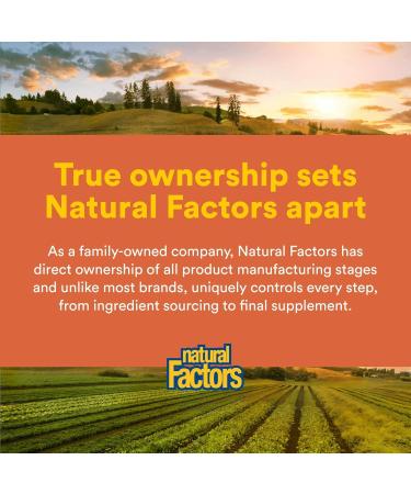 Natural Factors MSM 1000 mg Supports Healthy Joints Hair Skin and Nails 90 capsules (90 servings) 90 count (Pack of 1) - Buy Online on GoSupps.com