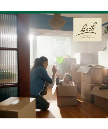 Bach Original Flower Remedies Walnut - Adapt to Change - Natural Homeopathic Flower Essence for Emotional Balance - Vegan Gluten Free Sugar Free - 20mL Dropper - Buy Online on GoSupps.com