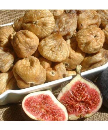 Krauterino24 Krauterino24 - Dried fig buds (1 kg)