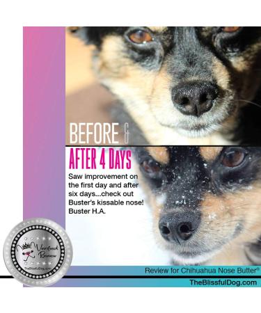 The Blissful Dog Long Coat Chihuahua Unscented Nose Butter - Dog Nose Butter 2 Ounce 2-Ounce - Buy Online on GoSupps.com