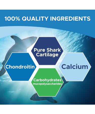MapleLife Nutrition - Shark Cartilage 750mg - Excellent Source of Chondroitin - High Potency Pure Ingredients Calcium Carbohydrates Maintain Bone Health Reduce Joint Pain Anti-Inflammation Reduce Swelling & Redness of Joints Free of Artificial Ingredients - Buy Online on GoSupps.com