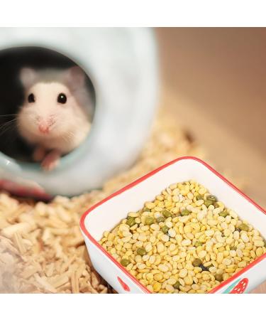 Ceramic Rat, Hamster, Rabbit, Guinea Pig Food Bowl Set - 2pcs, Cute Plates, Water Dish for Bunny, Gerbil, Ferret, Chinchilla - Buy Online on GoSupps.com