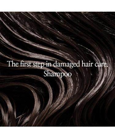 Buy Bouquet Garni NARD Damaged Hair Care RX Shampoo - Amino Acids & Oils for Soft Tangle-Free Hair - 16.9 oz International Shipping Available - Buy Online on GoSupps.com