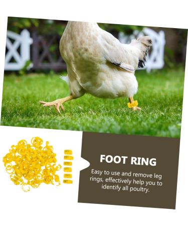 Kisangel 100pcs Chicken Leg Ring Pet Foot Band Parrot Foot Ring Poultry Marking Ring Chicken Foot Ring Pigeon 3.3X3.3CM Yellow - Buy Online on GoSupps.com