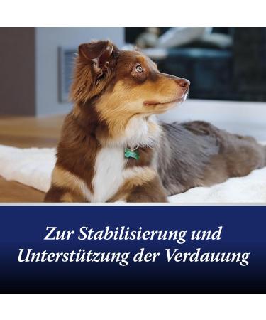 Canosept Intestinal Flora for Dogs - Probiotics & Prebiotics | 30 Tablets for Digestive Health & Support - Buy Online on GoSupps.com