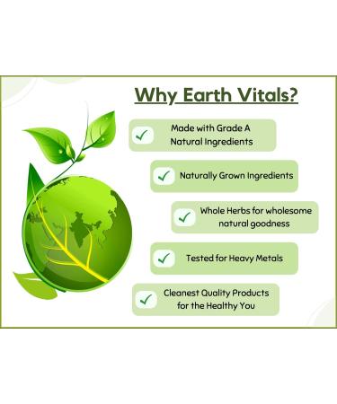 Earth Vitals Detox Tea: Herbal Infusion with Traditional Ayurvedic Herbs | Raw Superfood - Buy Online on GoSupps.com