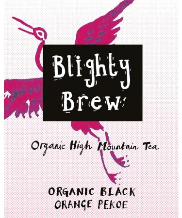 Organic Kombucha Starter Kit with SCOBY Fluid and Orange Pekoe Tea - Buy Online on GoSupps.com