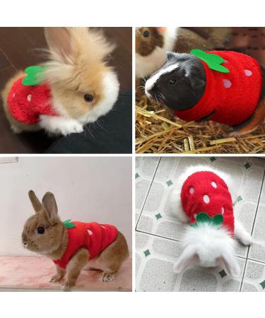 Bangminda Sleeveless Vest for Small Pets | 2-Piece Warm T-Shirts for Guinea Pigs Kittens Rabbits Ferrets & Chihuahuas - International Shipping Available - Buy Online on GoSupps.com