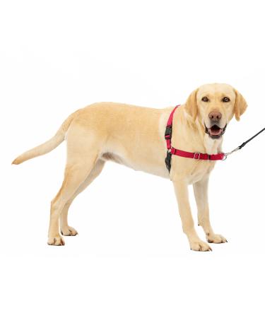 PetSafe Easy Walk Harness Anti-Pull Dog Harness Reduces Choking and Coughing With 1.8M Leash Size XL Red XL Red