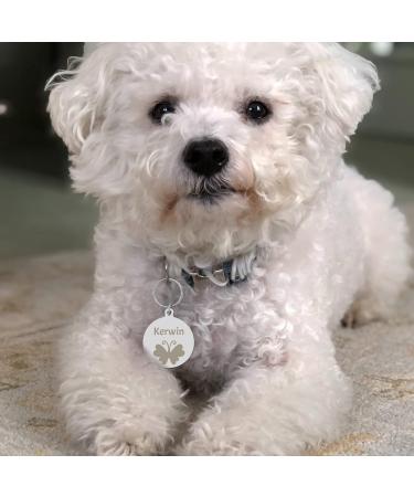 Personalized Stainless Steel Dog Tags - Custom Engraved for Dogs & Cats - Unique Shapes & Designs - Buy Online on GoSupps.com