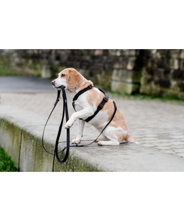 Chaba Guard Dog Harness for Medium-Sized Dogs - Anti-Pull & No-Choke Adjustable Step-In Harness - Comfortable & Lightweight Black Design - Buy Online on GoSupps.com