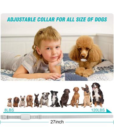 Bousnic Shock Collar for Dogs - Waterproof Rechargeable Training Collar with Remote - Beep, Vibration, Safe Shock Modes - Small to Large Dogs (8-120 Lbs) - Grey - Buy Online on GoSupps.com