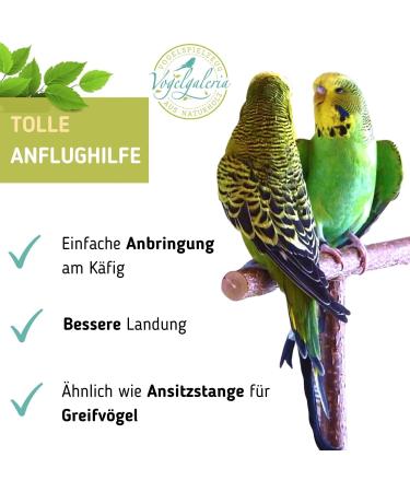 Handmade Approach Aid & Approach Bar for Bird Cages | Natural Wood Bird Accessories - International Shipping - Buy Online on GoSupps.com