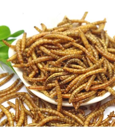 Non-GMO Dried Mealworms & Black Soldier Fly Larvae - High-Protein Treats for Chickens, Fish & Birds - 11lb Pack - Buy Online on GoSupps.com