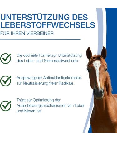 Nutrilabs Rascave Hepar Juice for Horses - 1L Milk Thistle Supplement for Liver & Kidney Health - Premium Nutritional Products for Horses - Buy Online on GoSupps.com