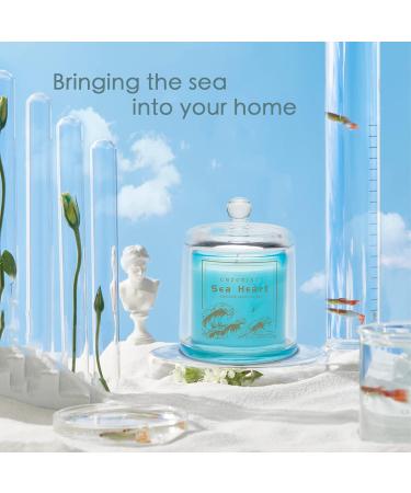 Luxury Sea Salt Scented Candles 9 oz Natural Soy Wax Aromatherapy Gifts for Women | 50 Hours Burn Time in Elegant Blue Jar - Buy Online on GoSupps.com