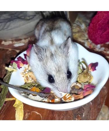 Flower Fusion Treat (0.85 oz.) - Healthy Natural Dried Flower Herbivore Treat - Chinchillas Guinea Pigs Rabbits Prairie Dogs Degus Hamsters Rats Squirrels Sugar Gliders & Other Small Pets - Buy Online on GoSupps.com