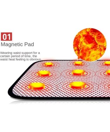 Back Brace Lumbar Support Lumbar Support Belt Back Brace With Removable Double Pull Strap Pads Waist Belt(Large) Large Blue - Buy Online on GoSupps.com